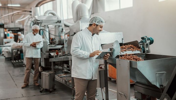 Explore Food Processing Automation Machines: Basics, Facts, and Key Knowledge