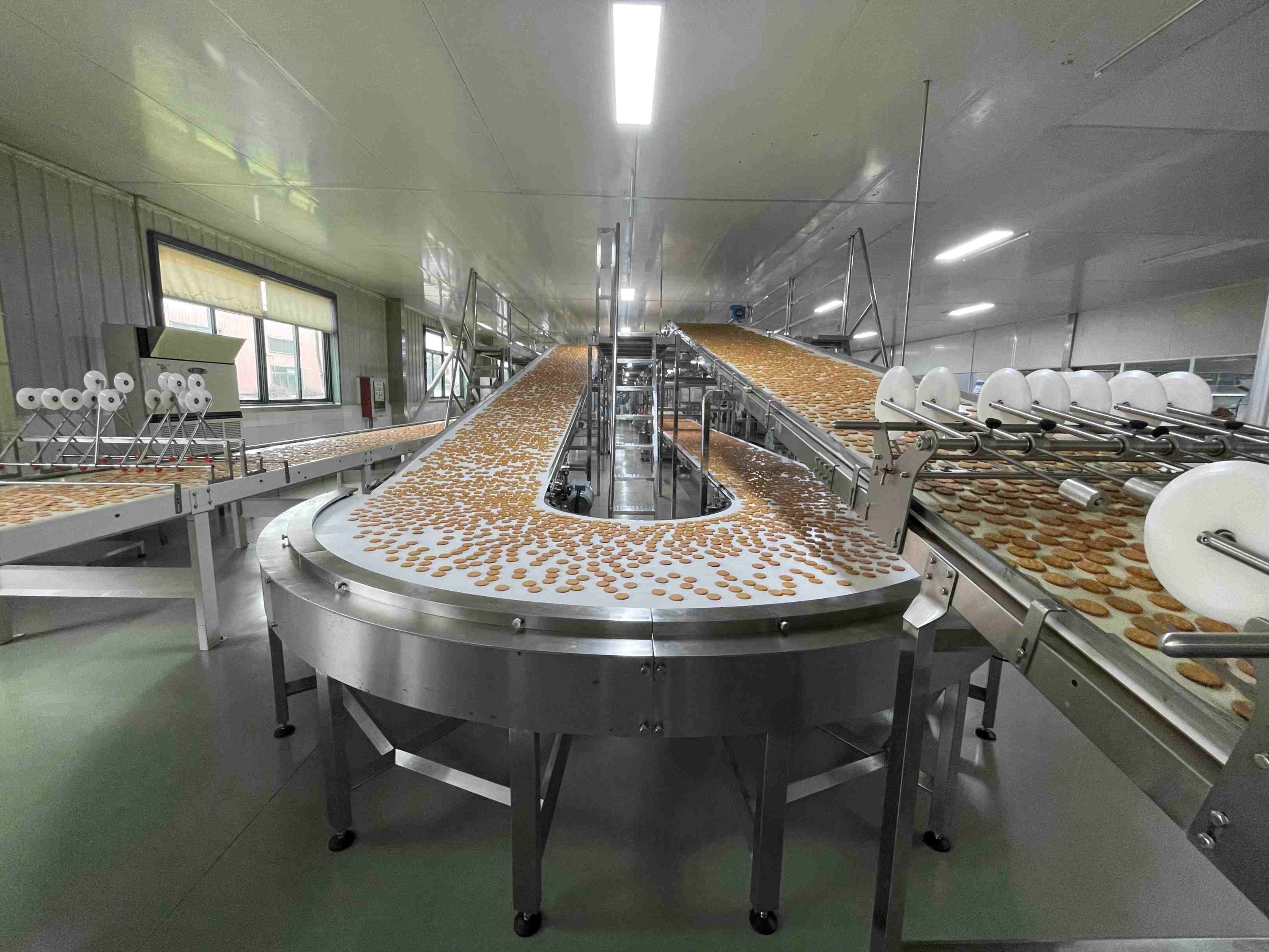 Biscuit Cooling Conveyors: Complete Guide, Key Insights & Practical Tips