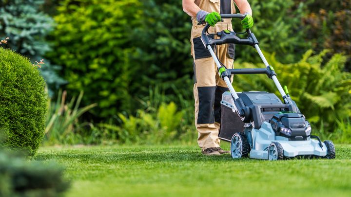 Electric Lawn Mowers Guide: Explore Basics, Features, and Key Knowledge